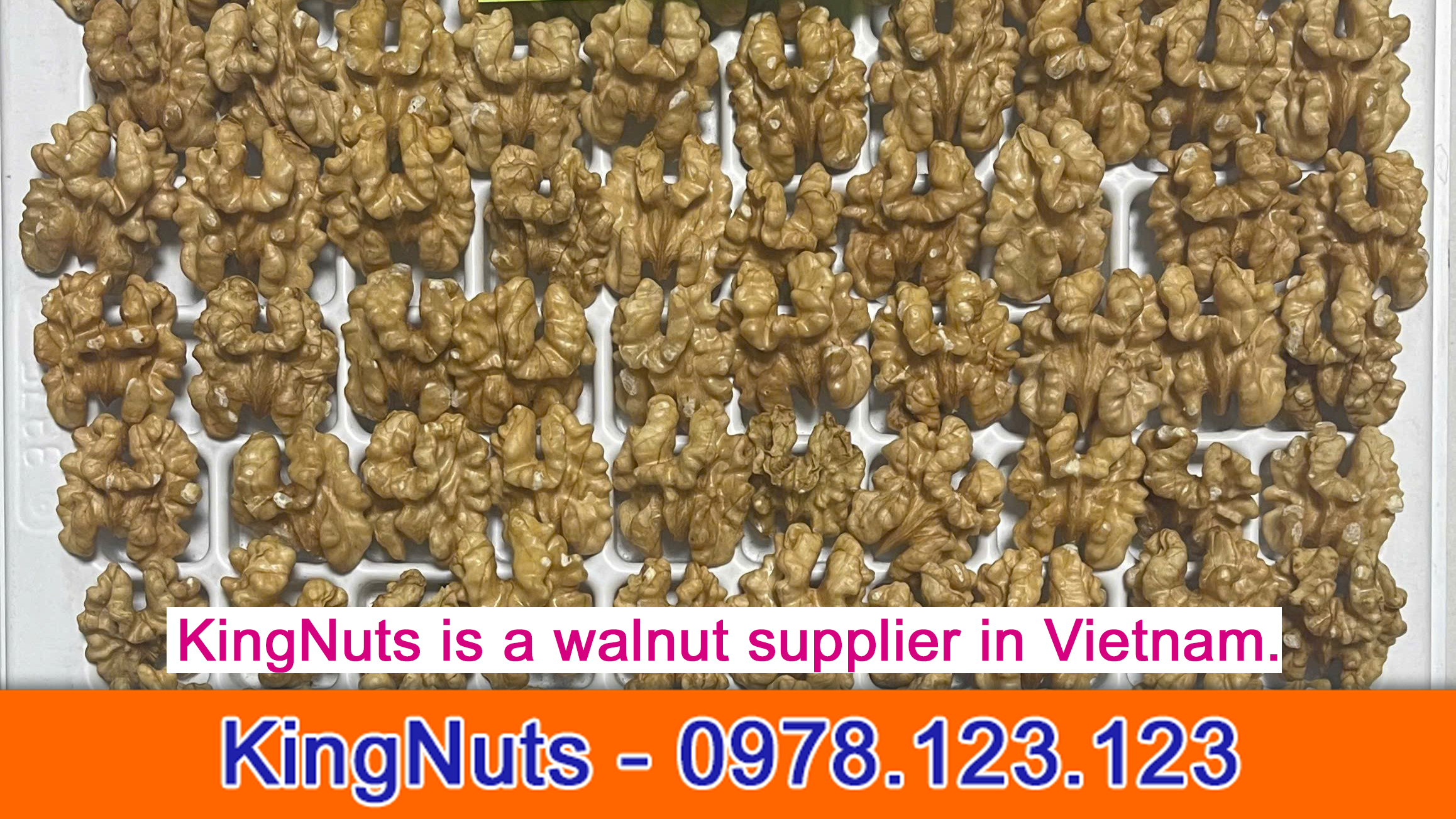 Vietnam Walnut Kernel Supplier – KingNuts, Exporter & Machining Split